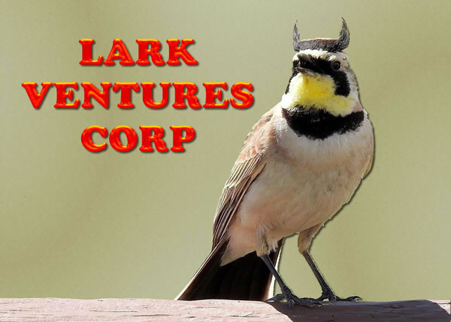 Lark Ventures Corp, Scio Oregon